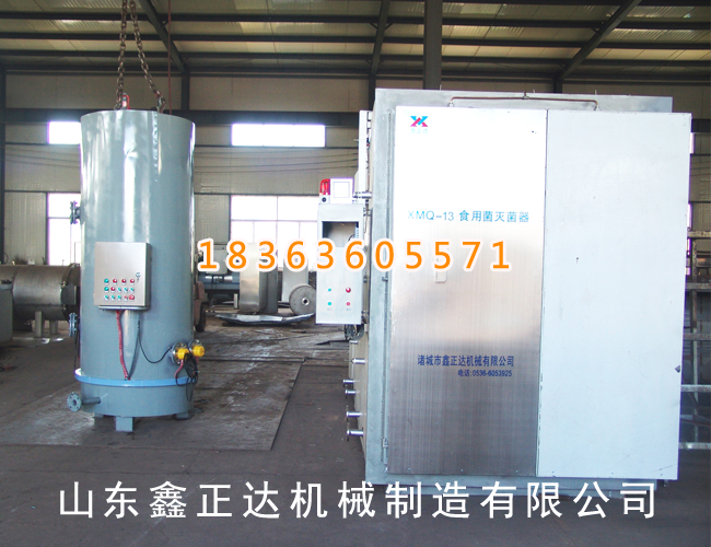 13m³ sterilizing machine 