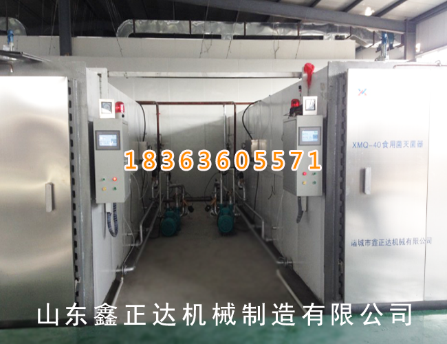 40m³ sterilizer